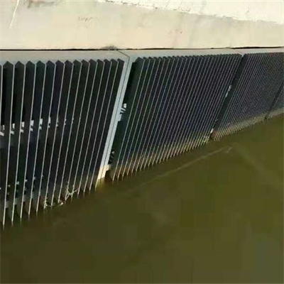 <b>攔污柵</b>